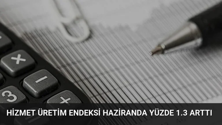 Hizmet Üretim Endeksi Haziranda Yüzde 1.3 Arttı
