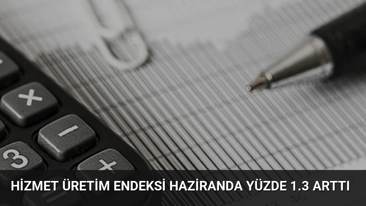 Hizmet Üretim Endeksi Haziranda Yüzde 1.3 Arttı