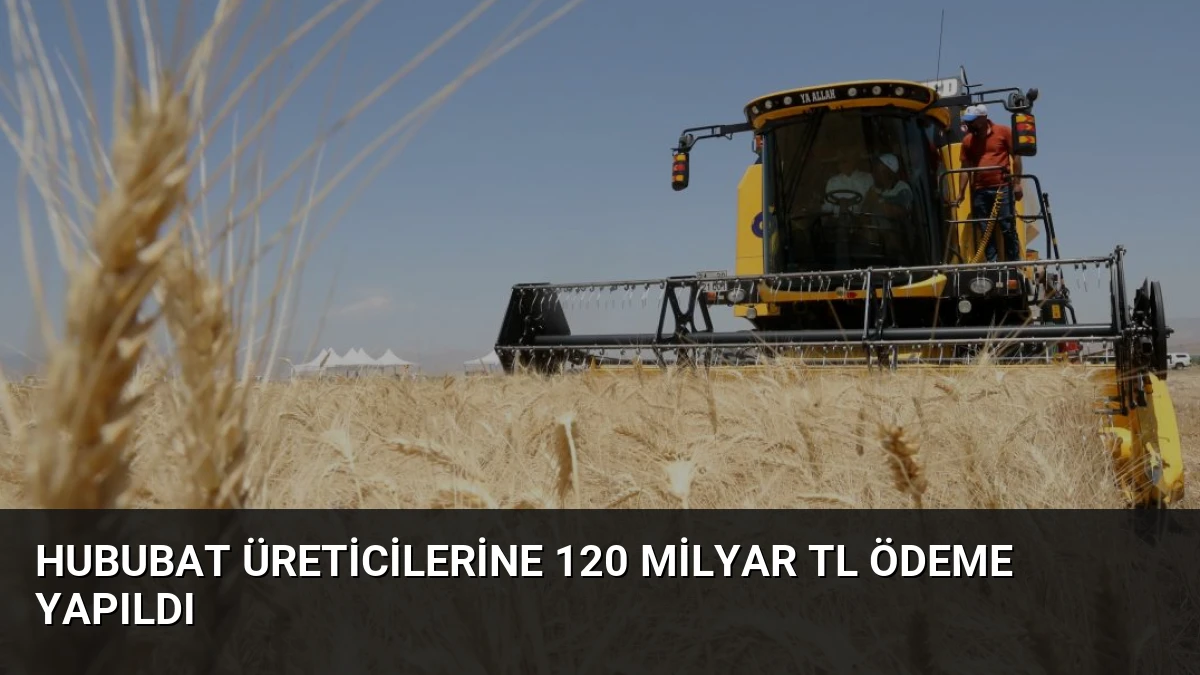 Hububat Üreticilerine 120 Milyar TL Ödeme Yapıldı