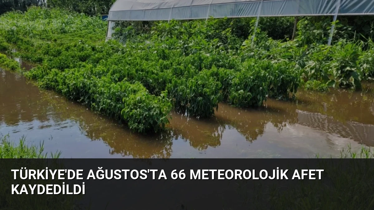 Türkiye’de Ağustos’ta 66 Meteorolojik Afet Kaydedildi